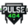 Pulse: 404 Logo